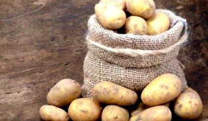 A túlzott krumplifogyasztás hatásai - HáziPatika