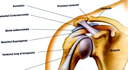 a vállízület akut bursitisének kezelése izületek fájdalom nélkül izometrikus gimnasztika