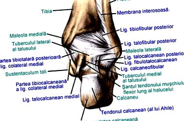 a láb csontok és ízületek károsodása