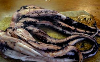chobotnice tykadlá