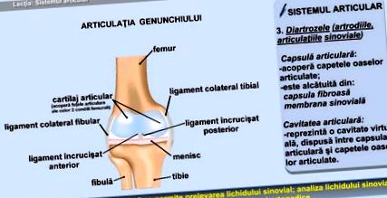 fájdalom ha a lábak meghosszabbodnak a térdízületben hialuronsav artrózis kezelésére ár