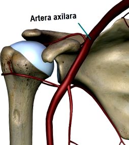 Hogyan kezeljük a vállízület deformáló artrózisát, Röntgen gerinc artrózis