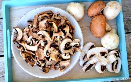 Hogyan szárítsuk meg a gombát - a dehidratált gombák receptje Városi ízek