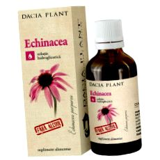 echinacea