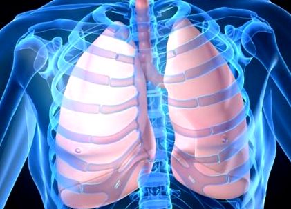 A tüdőmentő lenmagolaj: 5 tuti tipp dohányosoknak - Dívány