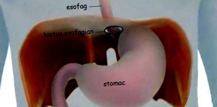 hogyan éget teljes zsírt biztonságos fogyás tea szoptatás közben