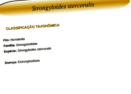 enterobius vermicularis classificacao)