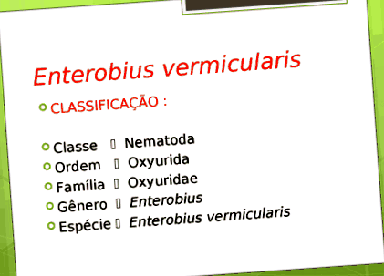 enterobius vermicularis classificacao