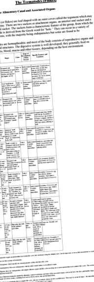 Helmint gyógyszerek az emberek listáján Helmint tabletta 1 tabletta