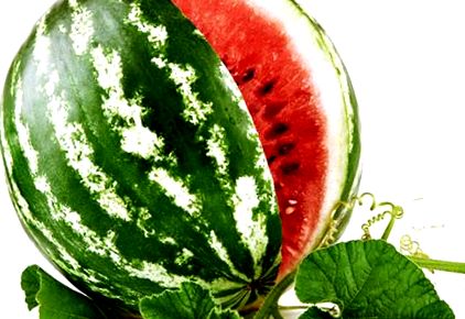 görögdinnye cukorbeteg