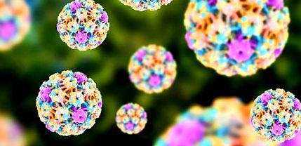 Szent Donát Kórház Várpalota HPV elleni védõoltás