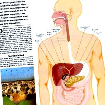 A férgek természetes gyógymódja. Bélféreg, Bélférgesség - Betegségek | Budai Egészségközpont