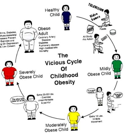 Hogyan befolyásolja az elhízás és az étvágytalanság a szív egészségét