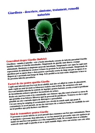 Giardia antigen. Giardia-fertőzés (giardiasis)