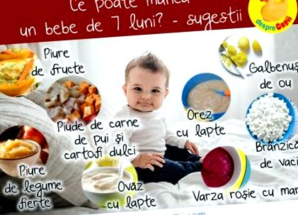 Mit eszik a baba 7 hónaposan Itt vannak az ennél az életkornál ajánlott  ételek és textúrák