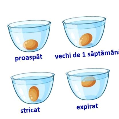защо разберете