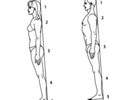 A térd deformáló artrózisának kezelése 2-3 fokkal