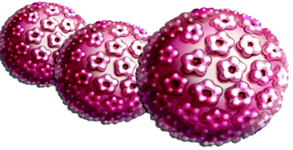 papillomavírus a keneten