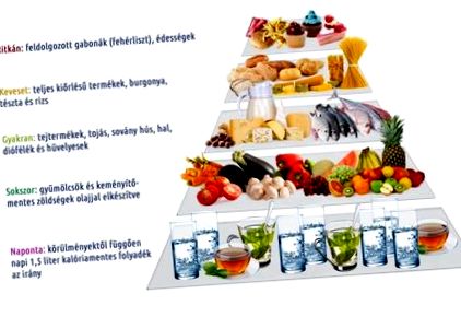Táplálkozási modellek - a piramis, a szivárvány, és a tányér - Egészségtüköcibau-granule.cz