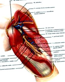 kezelni az artrózist a kezén ízületi sérülés értéke