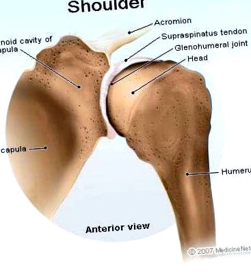 kortikoszteroidok a vállízület artrózisához ammóniával történő kezelés artrózis esetén