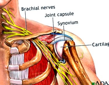 Gyakorlatok brachialis artrózis kezelésére