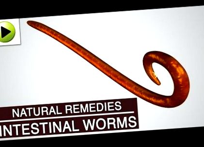 Helminthes kezelés, Helminth és pinworm kezelés, gyógyszerek férgek Worm Pinworm flatworm