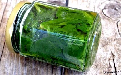 Spenót tégelyben üvegben vagy fagyasztóban (láda) - recept és csalán,  loboda, stevia esetében