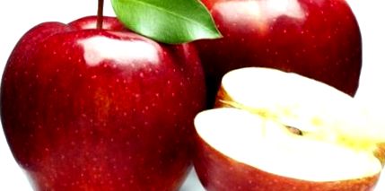 alma bakteriális rák