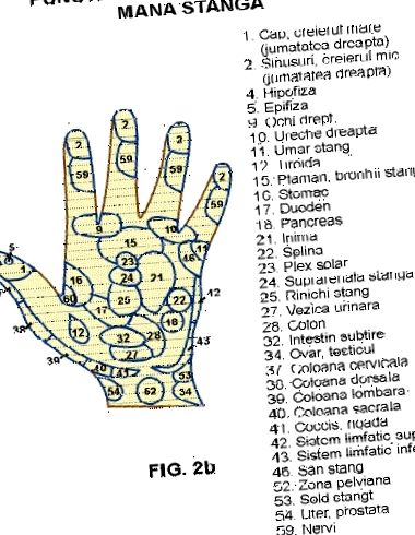 Betegségek A-tól Z-ig | TermészetGyógyász Magazin - Az akupunktúra javítja a látást