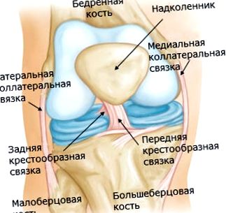 bursitis boli koljena)