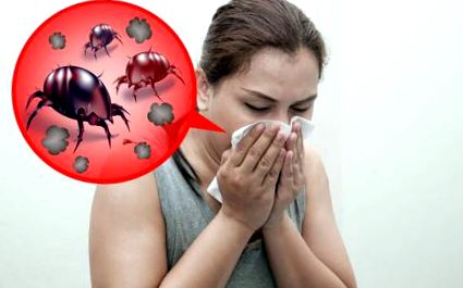 алергиите