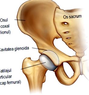 Csípő osteoarthritis kezelés A bal térd belső károsodása
