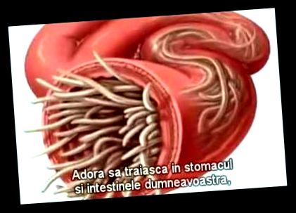 schistosomiasis irányelvek szájüregi rák természetes kezelése