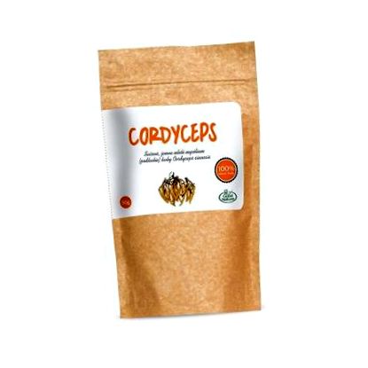 cordyceps