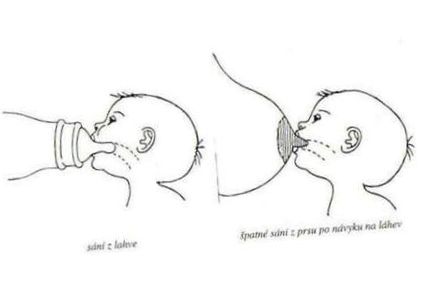 пляшками пляшками