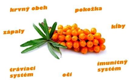 hatása homoktövis