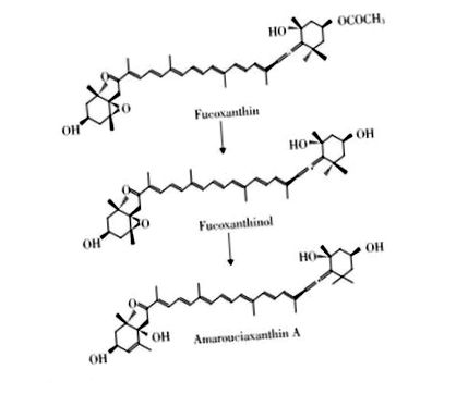 фукоксантин