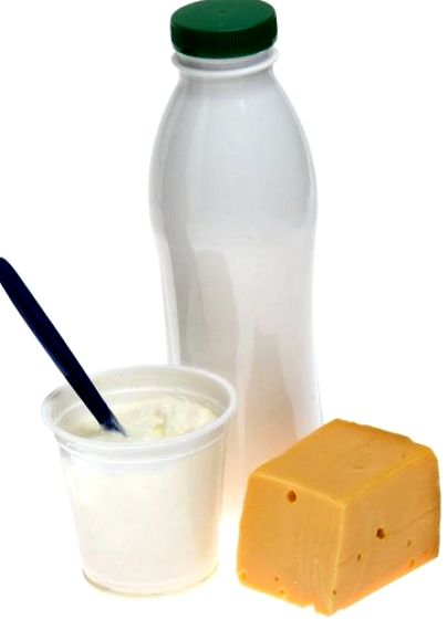 erjesztett ételek erjesztett ételek