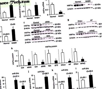 szabályozza metabolikus