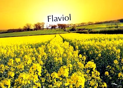 flaviol