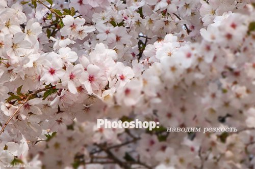 Ретуш портрета в Фотошоп