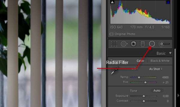 Робота з радіальним фільтром Lightroom 5