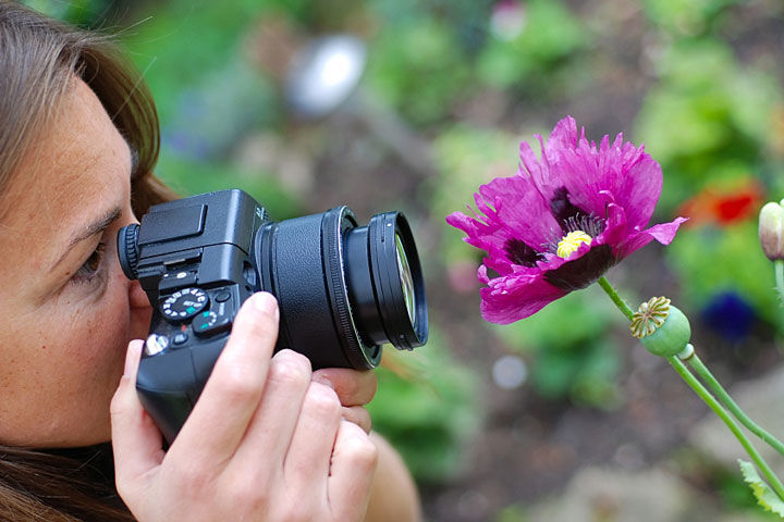 Поради для фотографів-флористів