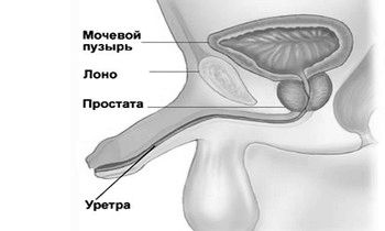 як лікувати чоловіка якщо у жінки кольпіт