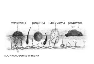 тілі