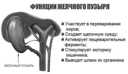 Для чого потрібен жовчний міхур як лікувати печінку якщо видалений жовчний міхур