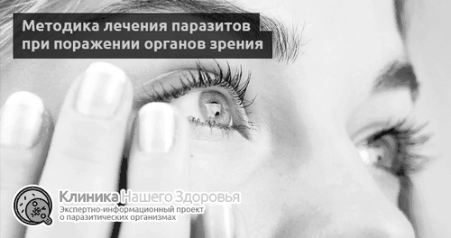 Глисти у очах: симптоми і лікування паразитів в органах зору глисти