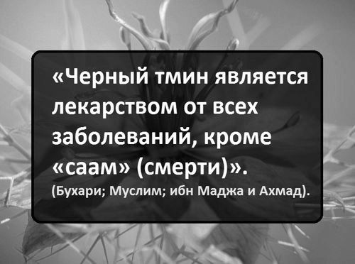 Лікування насінням і маслом чорного кмину чорного