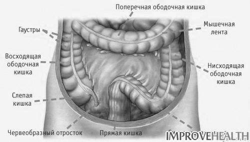 Лікування тонкого кишечника: основні захворювання тонкого